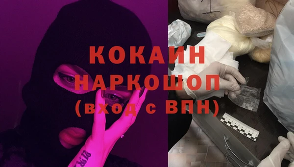 PSILOCYBIN Коряжма