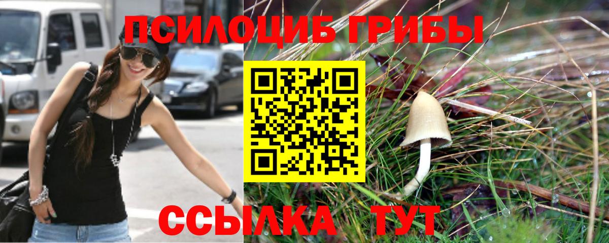 Галлюциногенные грибы прущие грибы  Усинск  Псилоцибиновые грибы ЛСД 